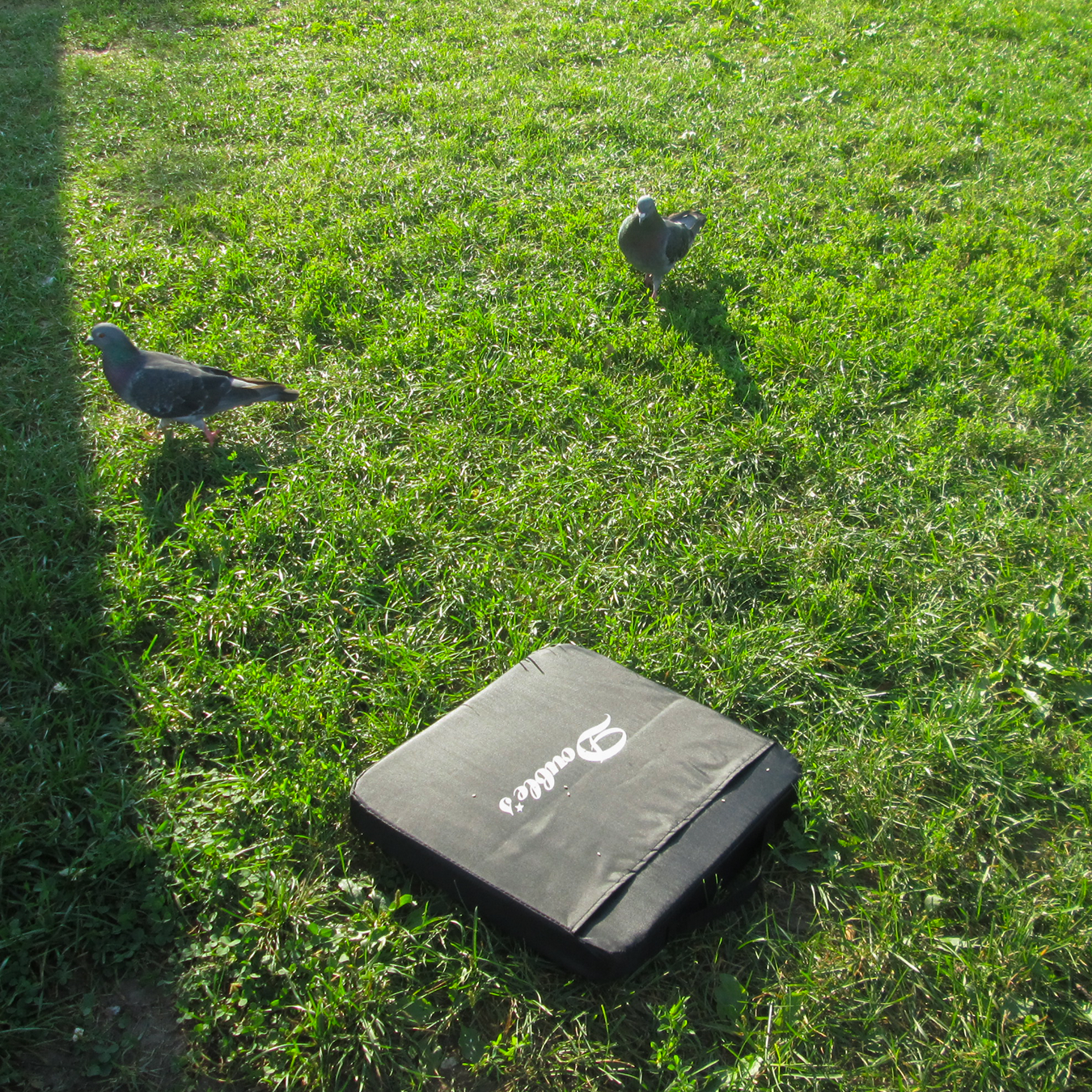 “Double’s” stadium seat cushion